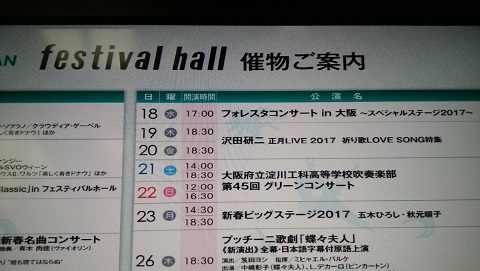 フェス1.jpg